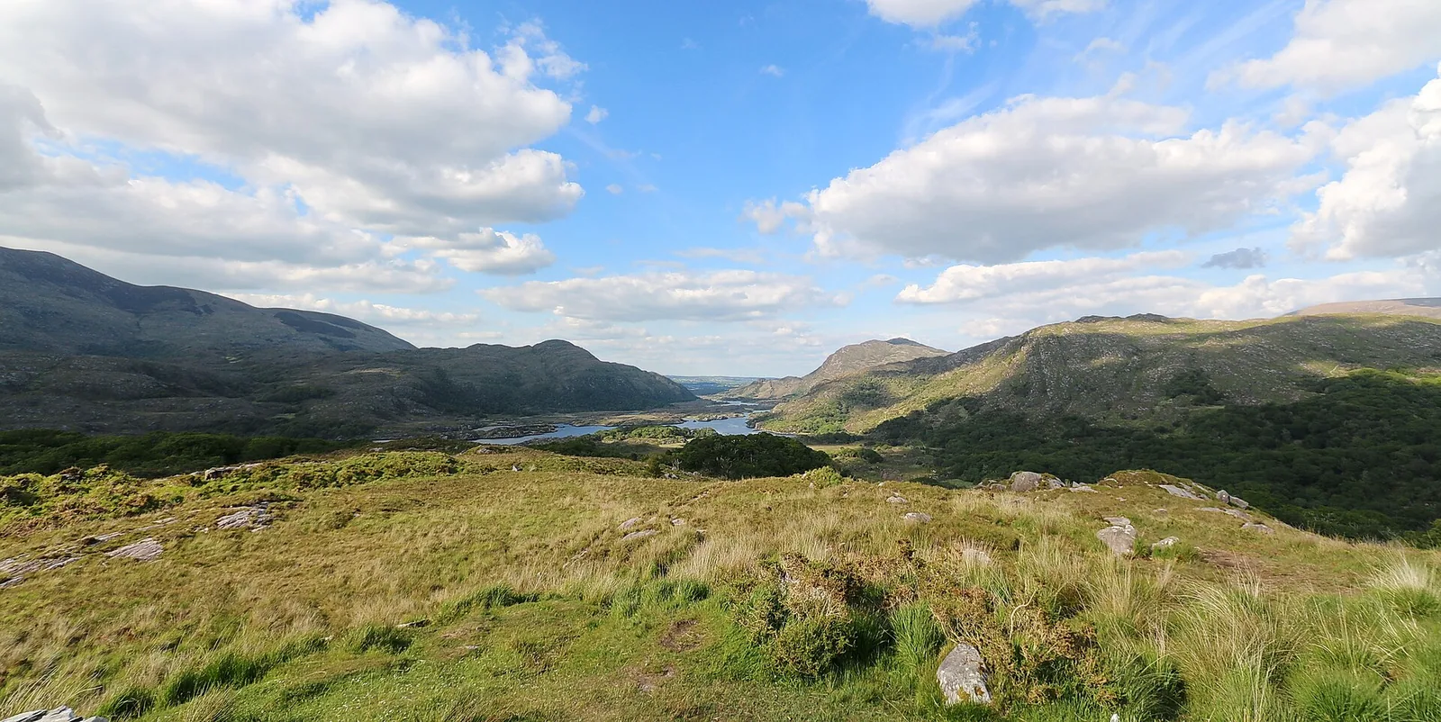 View from Ladies View across the lakes and mountains of Killarney