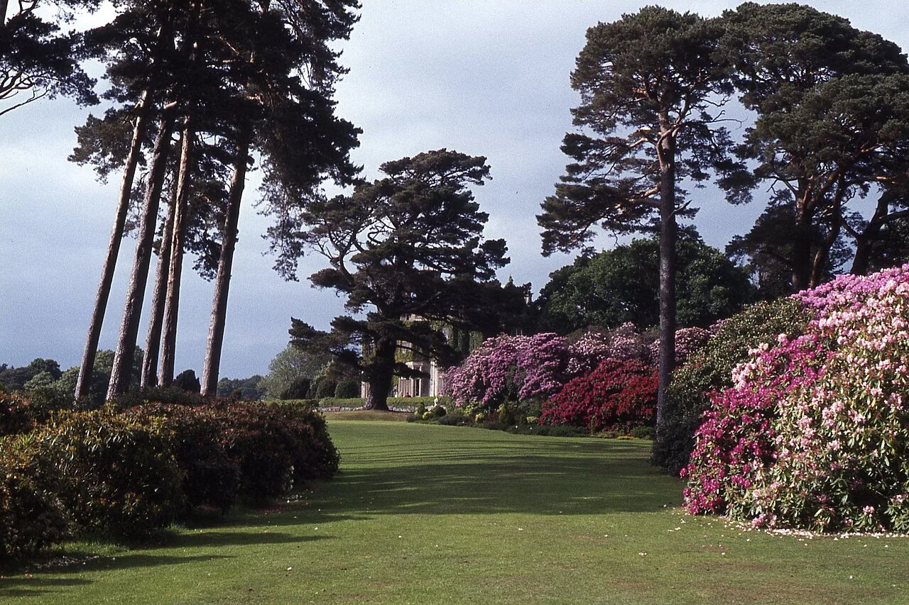 Well-kept gardens with flower beds and tall trees at Muckross House in Killarney National Park