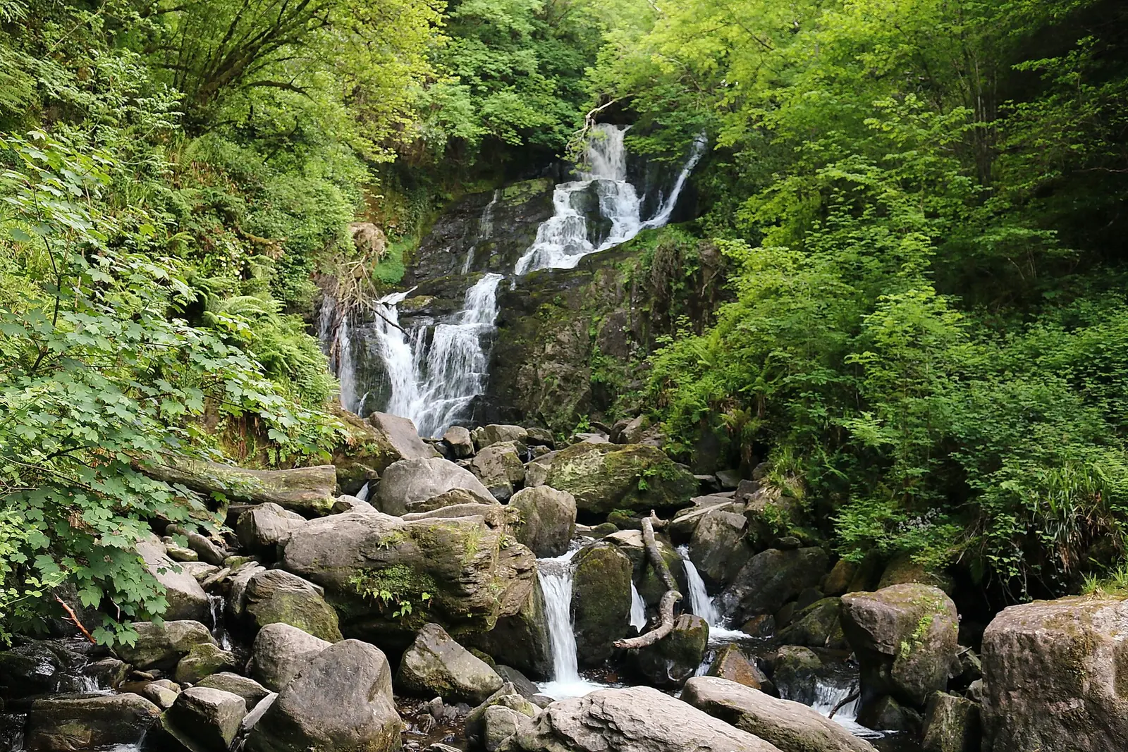 Torc Waterfall in Killarney National Park tumbling over moss-covered rocks between trees
