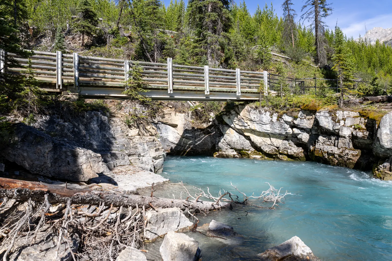 Footbridge over the water-carved gorge of Marble Canyon in Kootenay National Park