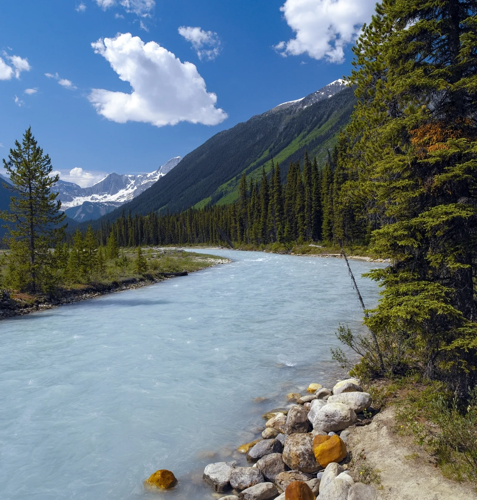 Turquoise Numa Creek in Kootenay National Park between conifer forest, with a snow-streaked mountainside behind
