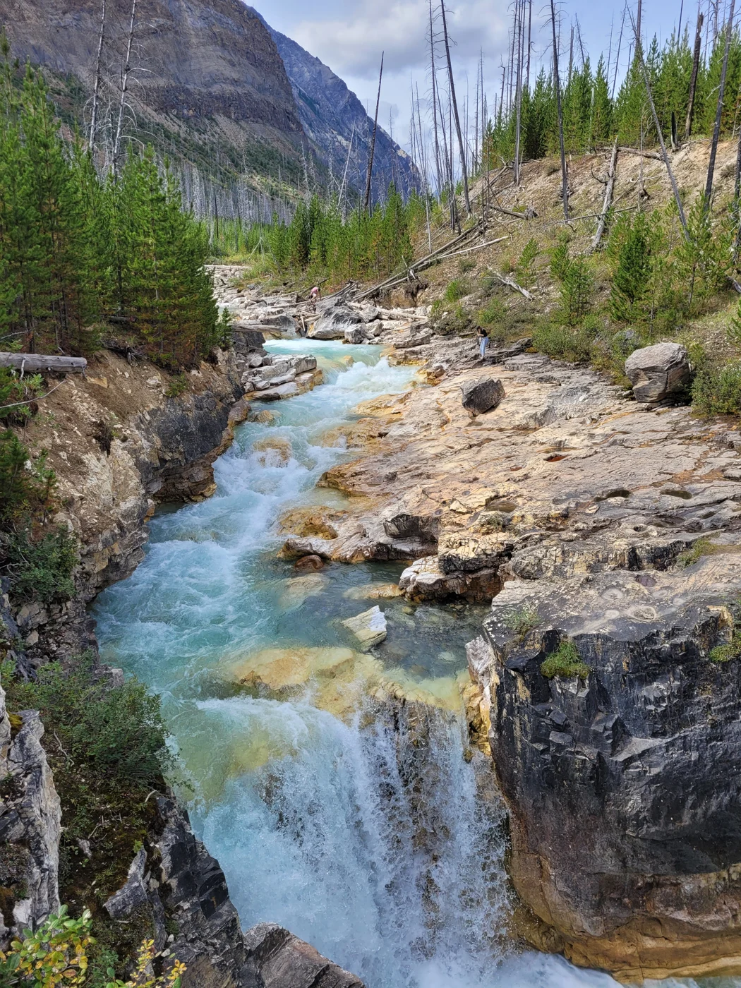 River and rocks at Marble Canyon in Kootenay National Park