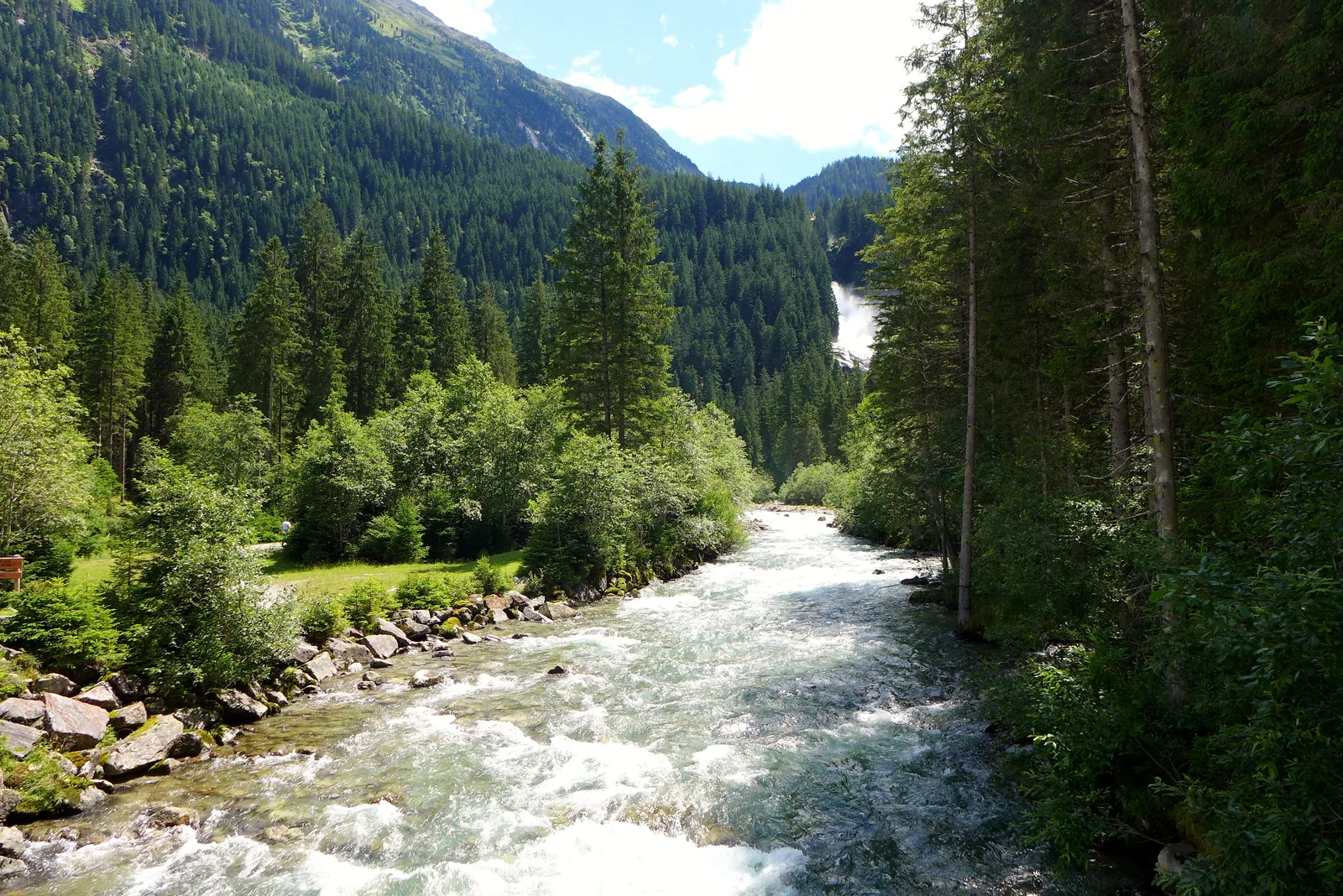 The Krimmler Ache flows out of the valley between spruces, the Krimml Waterfalls on the slope in the background