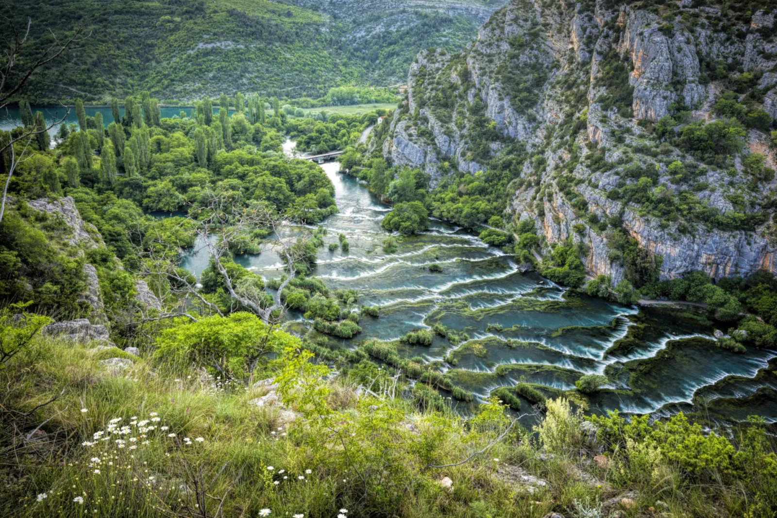 From a flowering slope in Krka National Park you look into the canyon: water flows over many shallow, green-covered tufa steps below pale rock walls