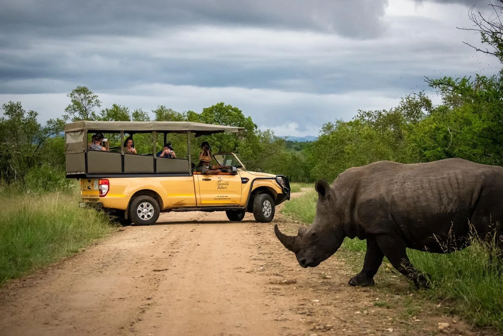 Offer photo: From Hazyview: full-day safari in an open vehicle