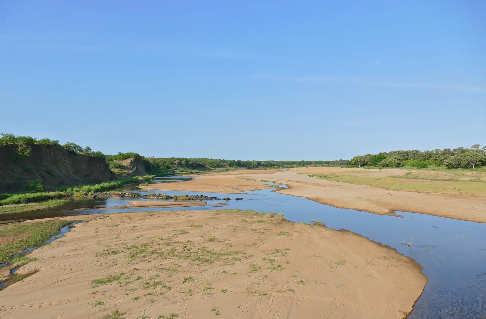 Wide bed of the Letaba River in Kruger National Park with pale sandbanks, narrow channels of water and a steep bank under a blue sky
