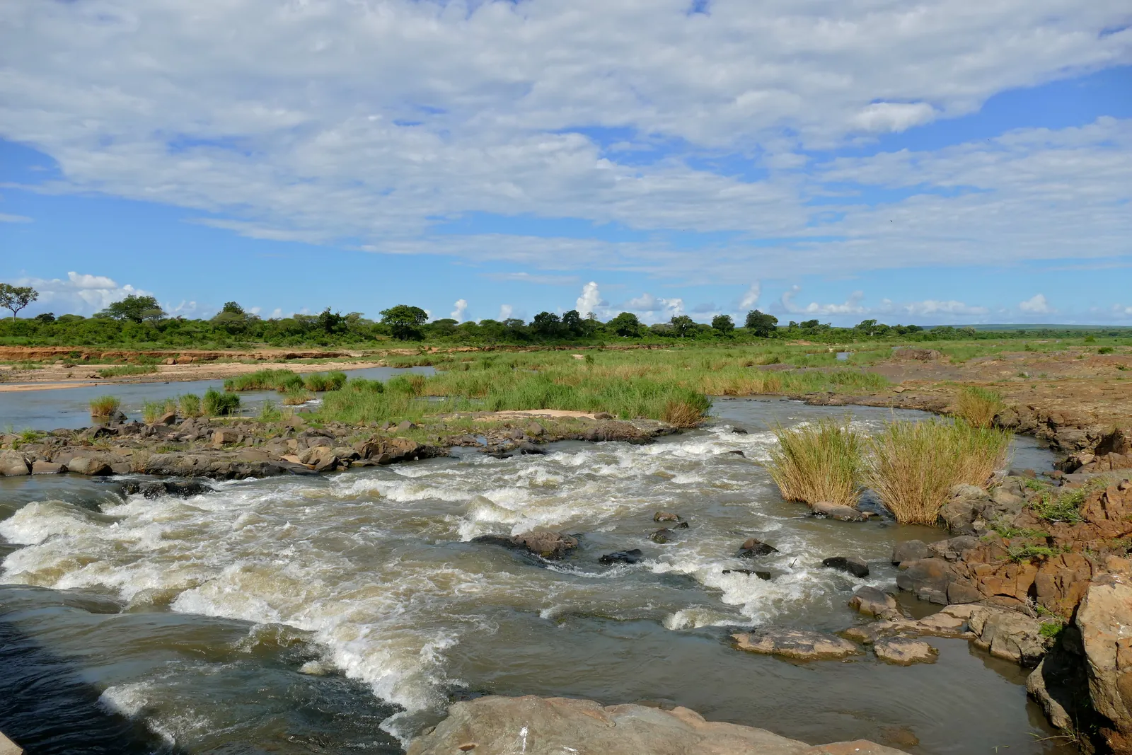 White water foams in Kruger National Park over dark rocks in the Sabie River, with reeds, a green bank and clouds behind