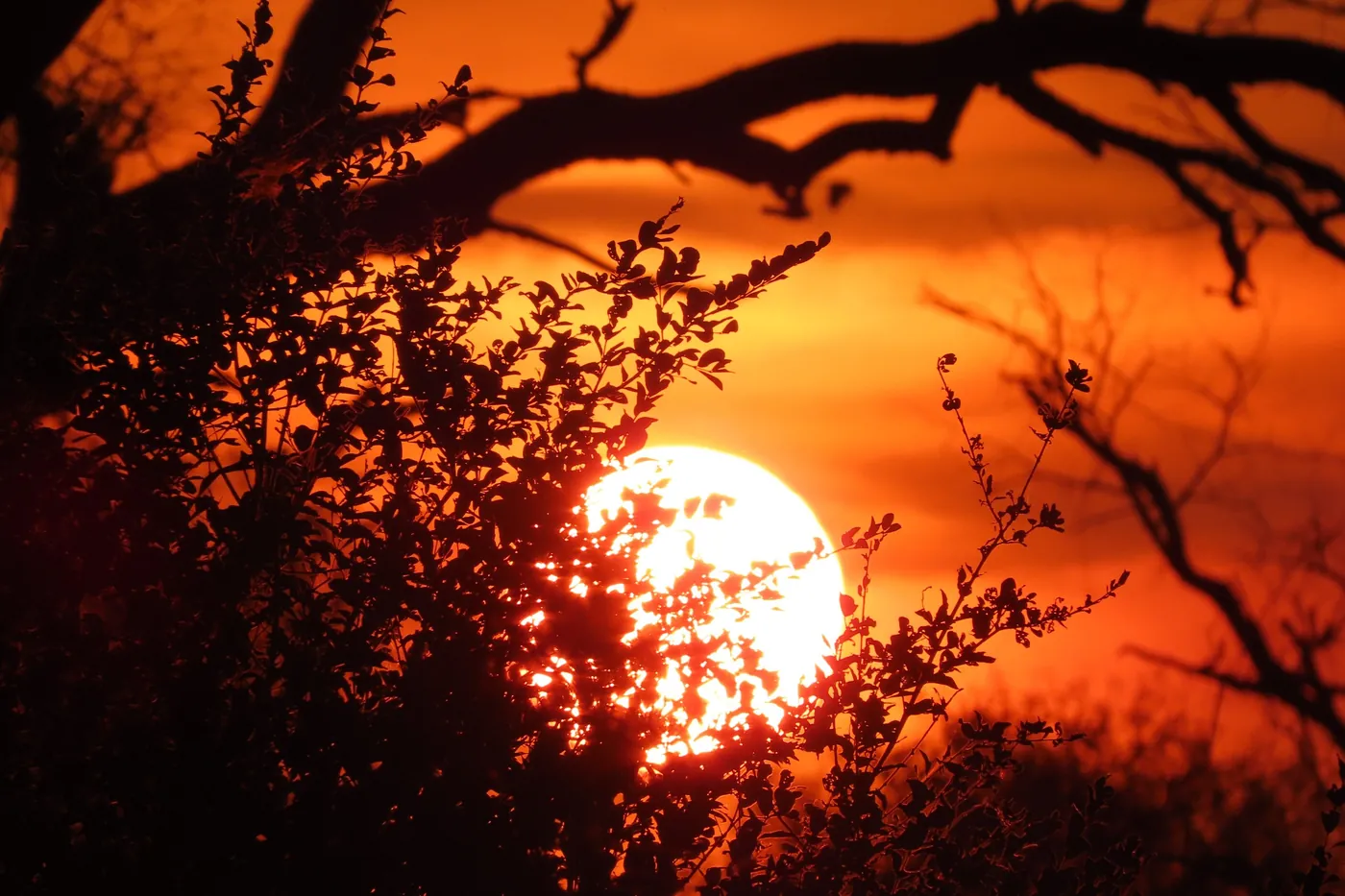 Offer photo: Sunset drive from Phabeni Gate