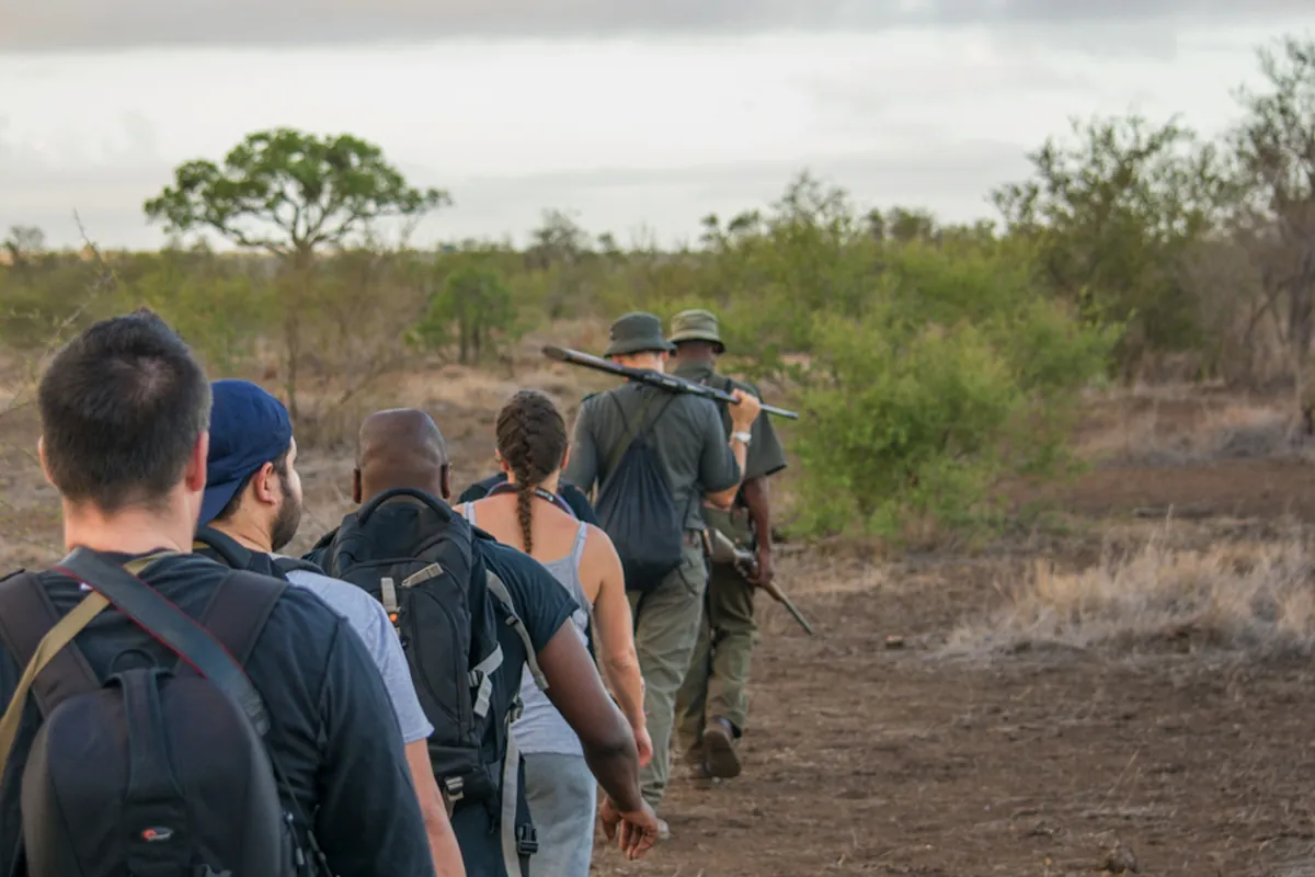 Offer photo: On foot through the bush: three-hour walking safari in the park