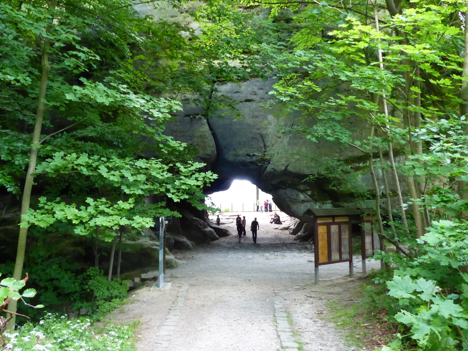 Forest path to the Kuhstall rock arch in Saxon Switzerland National Park, with the bright opening of the arch at the end of the path