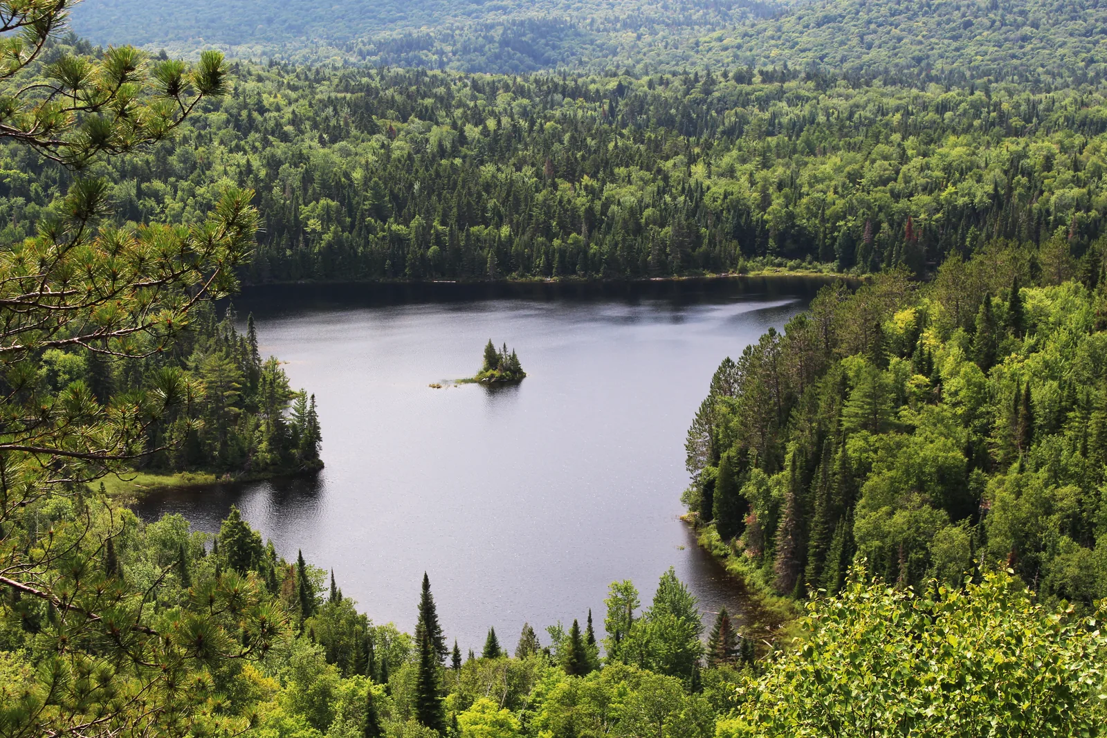 View from a hill in La Mauricie National Park over a dark forest lake with a small wooded island, dense mixed forest stretching to the horizon
