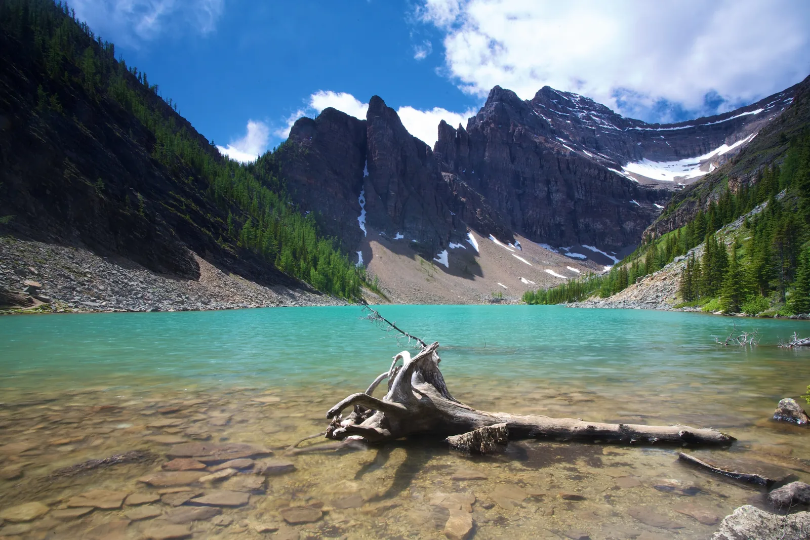 Lake Agnes in Banff National Park: clear turquoise water with driftwood on the shore, dark rocky peaks with patches of snow behind.