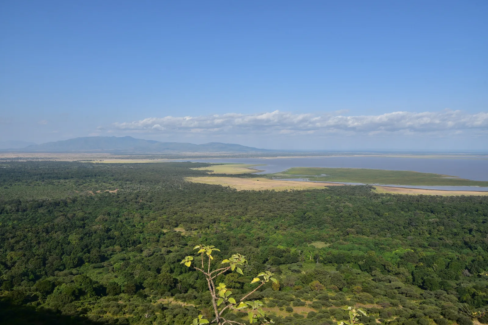 View from the escarpment over the green forest of Lake Manyara National Park to the lake and the mountains in the south