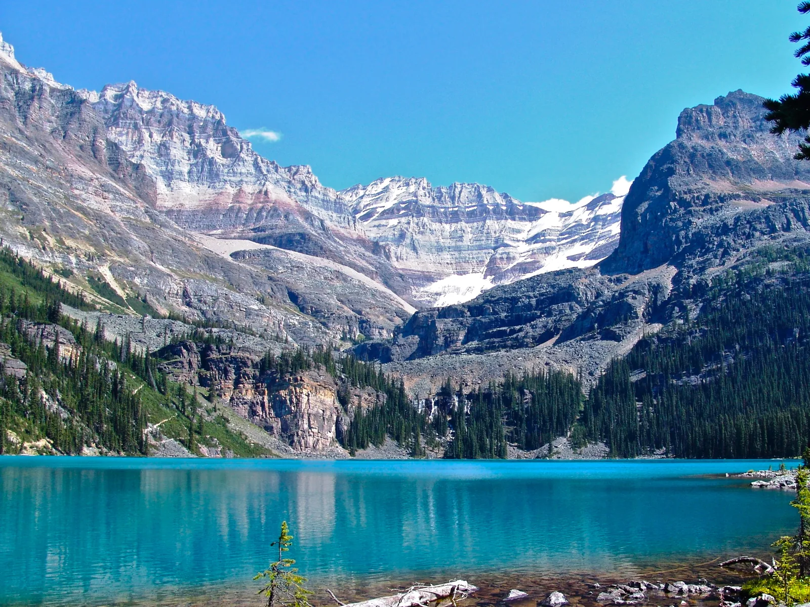 Turquoise Lake O'Hara from the east shore, glaciated peaks behind, in Yoho National Park.