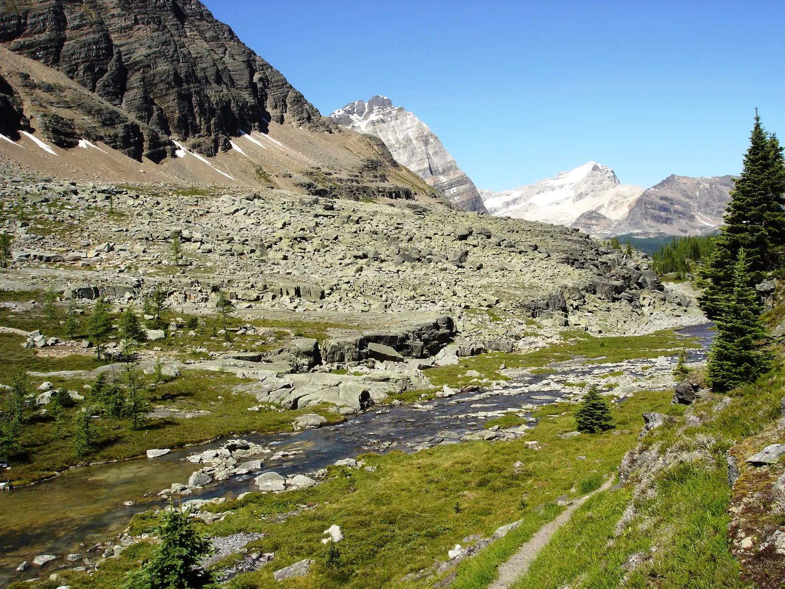 On the trail to Lake Oesa above Lake O'Hara: a creek, rock slabs and meadows in a high valley of Yoho National Park.