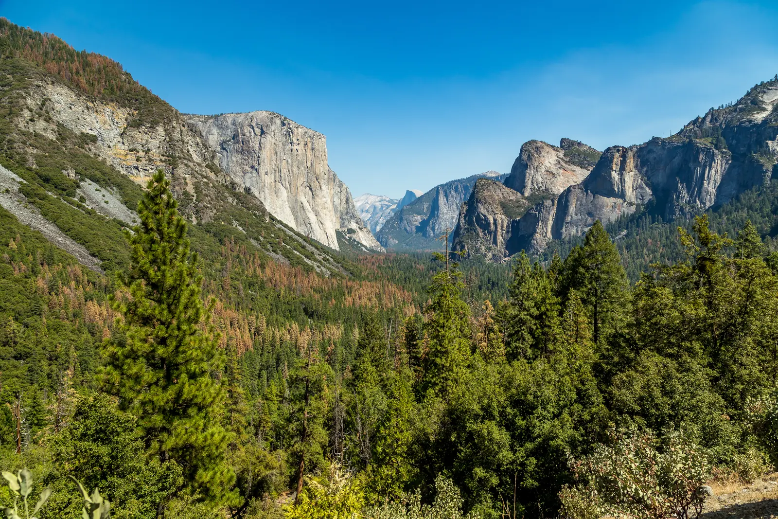 View from Tunnel View into Yosemite Valley with El Capitan and Half Dome, cover image of the national park entrance fees dataset 2026