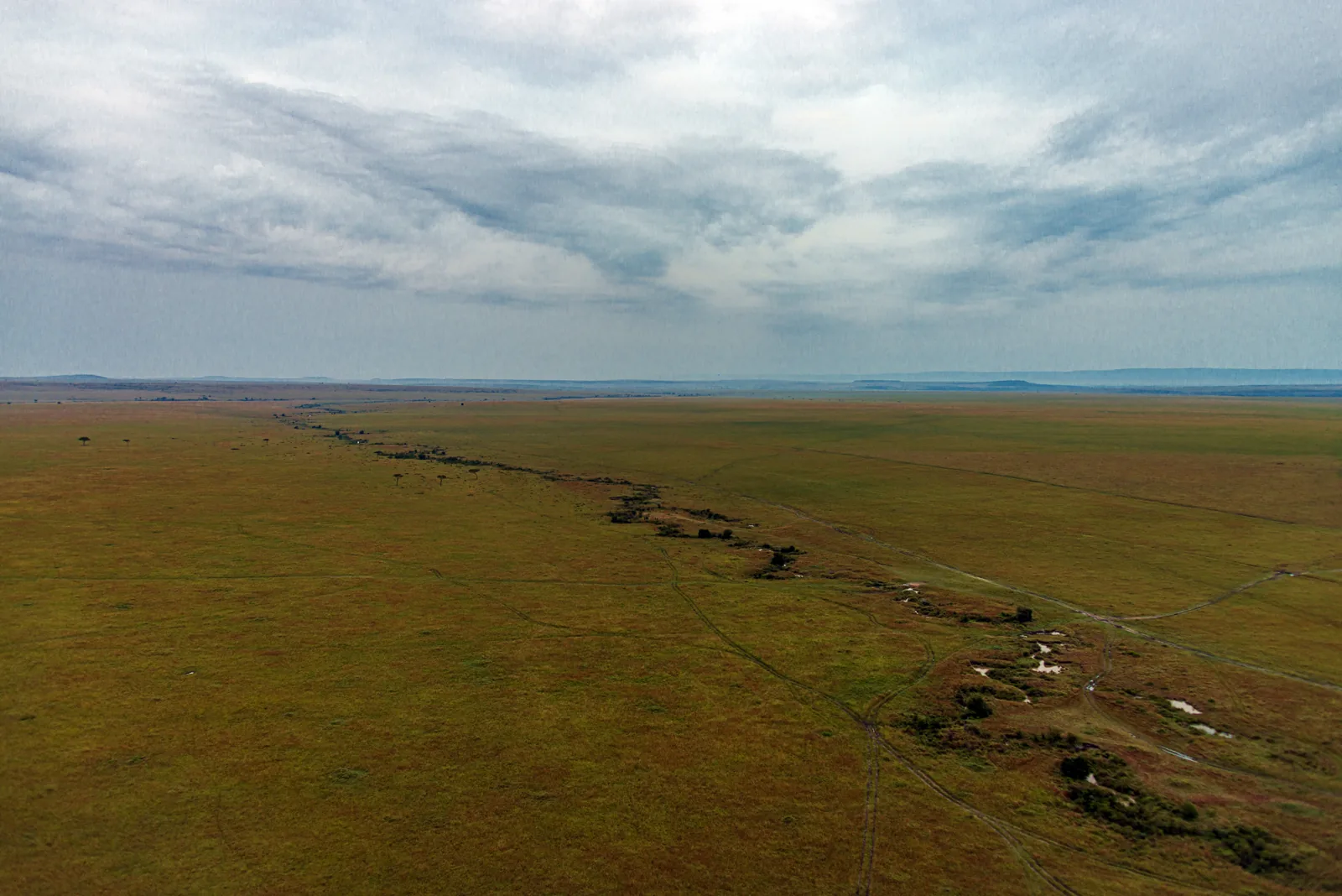Aerial view of the wide Maasai Mara plain with a meandering stream, the grassland at the northern end of the Great Migration.