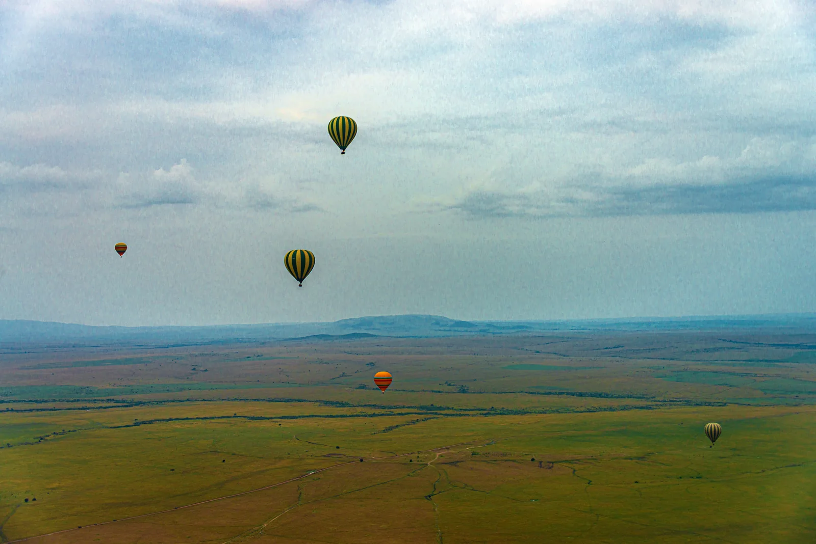 Several hot-air balloons float over a wide green plain in the Maasai Mara that stretches to a low ridge on the horizon