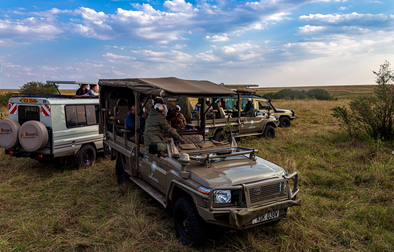 Several open safari vehicles with sun roofs stand close together in the grass in the Maasai Mara, their passengers looking at something outside the picture