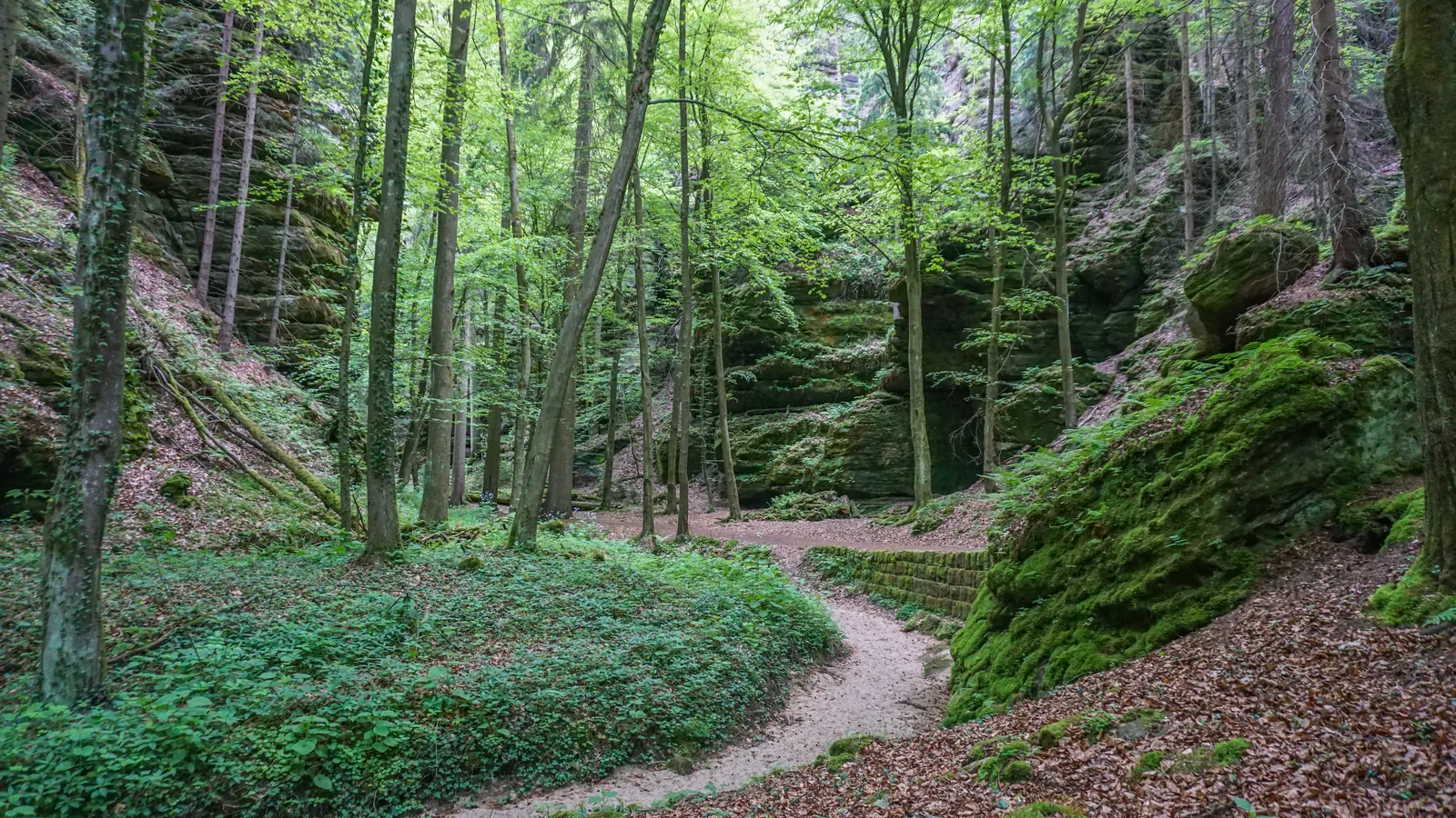 Path between sandstone rocks on the Malerweg