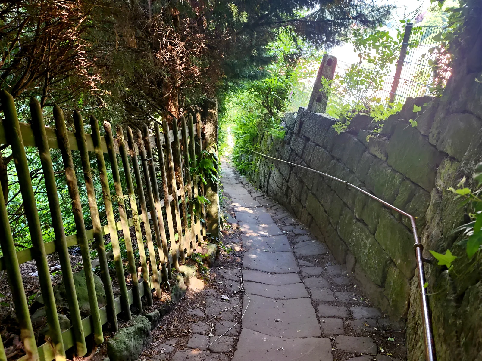 Hiking on the Malerweg towards Königstein