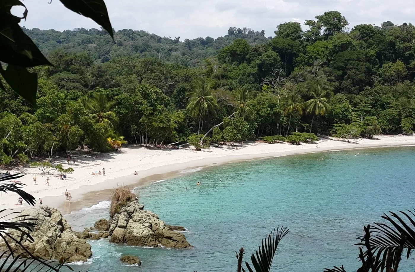 Offer photo: From San José: Manuel Antonio National Park day trip with entry