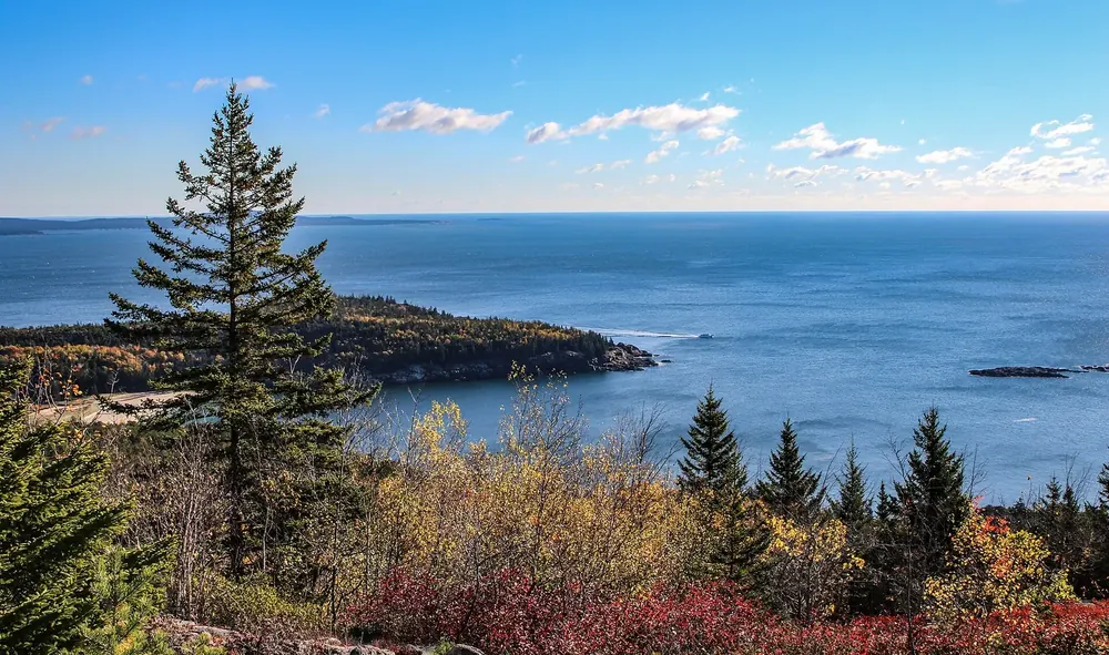 View from Gorham Mountain in Acadia National Park over autumn-coloured shrubs and spruces to a wooded headland in the sea