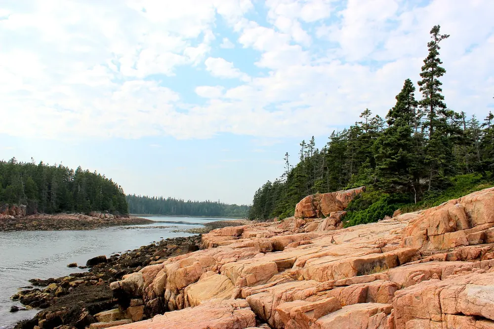 Pink granite slabs on the coast at Ship Harbor in Acadia National Park, with calm water and spruce forest on the shore behind