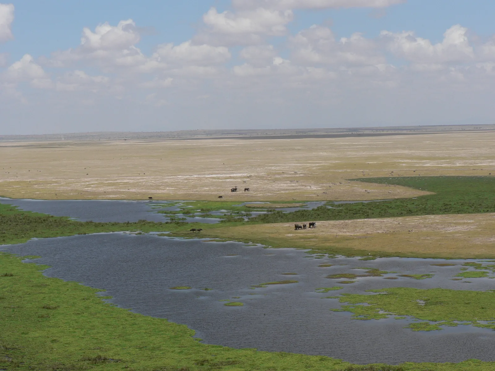 Lake Leakey in Amboseli National Park: stretches of water and swamp grass in a wide, pale plain under clouds