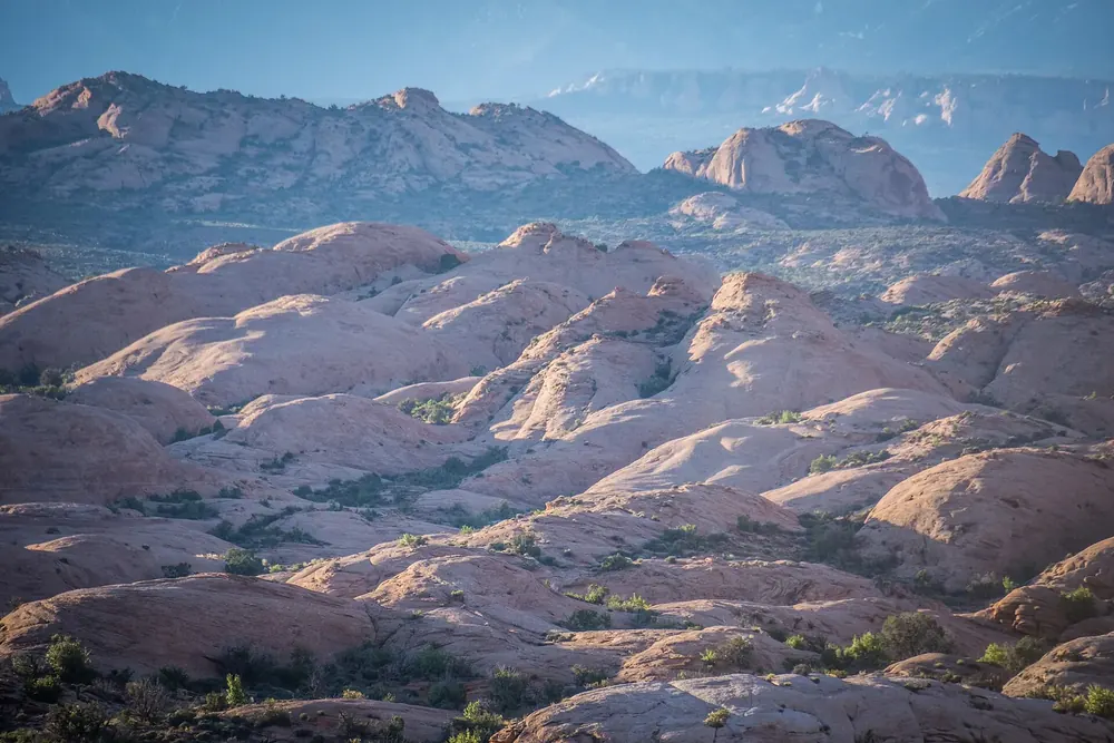 Petrified dunes in Arches National Park in morning light: rounded pale sandstone ridges, with rock formations and distant mountains behind