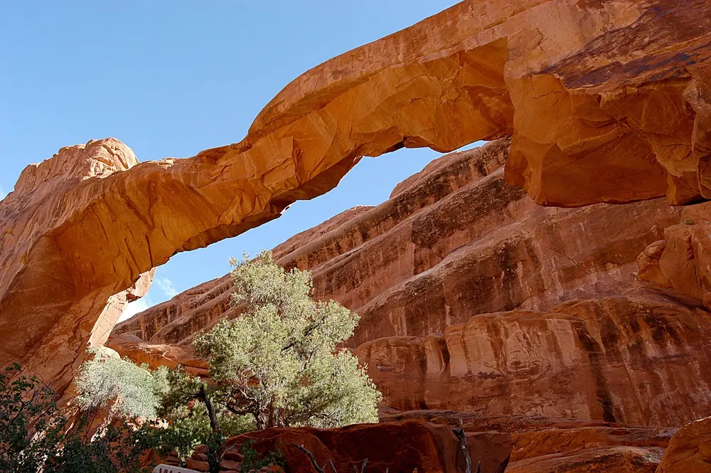 Wall Arch in Arches National Park in 2003, before its collapse in 2008: a broad sandstone arch above a tree on the Devils Garden Trail