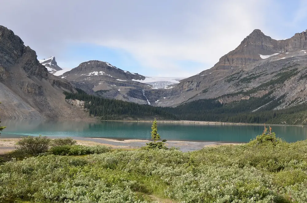 Crowfoot Glacier above Bow Lake in Banff National Park: glacier on a rock face, the turquoise lake and shrubs in front
