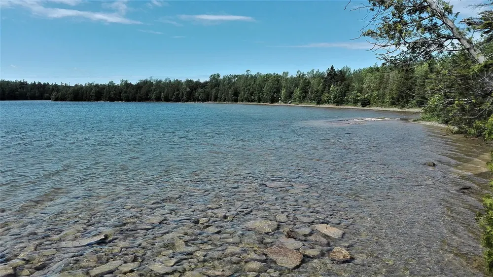 Cyprus Lake in Bruce Peninsula National Park near the campground: clear, shallow water with stones on the shore in front of dense forest under a blue sky