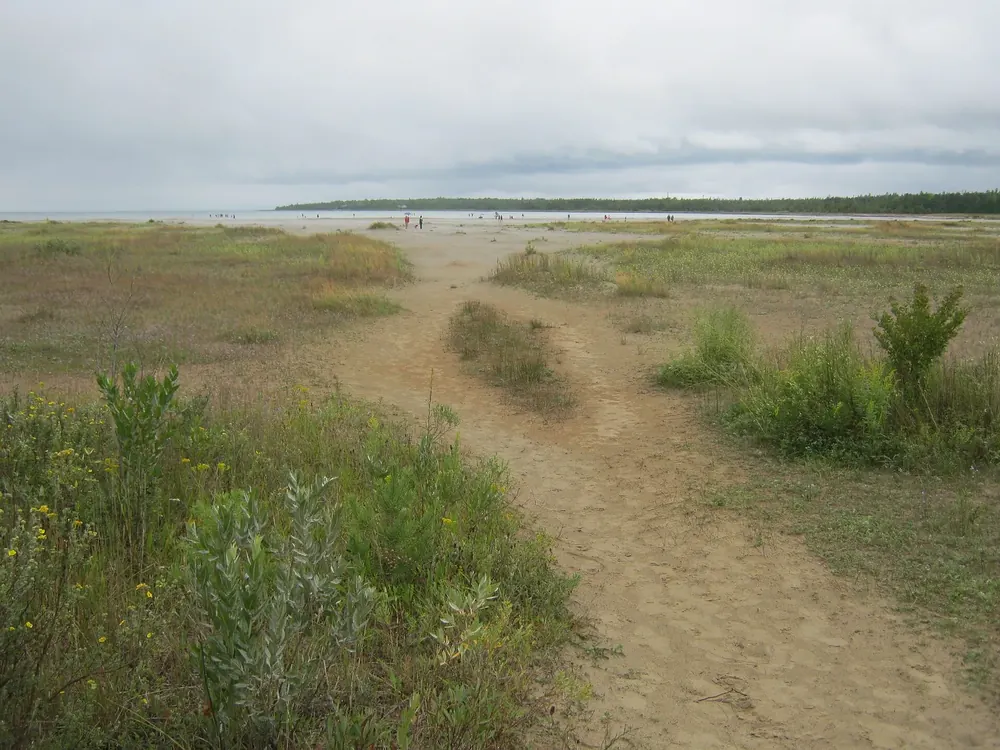 Singing Sands in Bruce Peninsula National Park: sandy paths through dune grass and shrubs down to the flat lakeshore under a cloudy sky