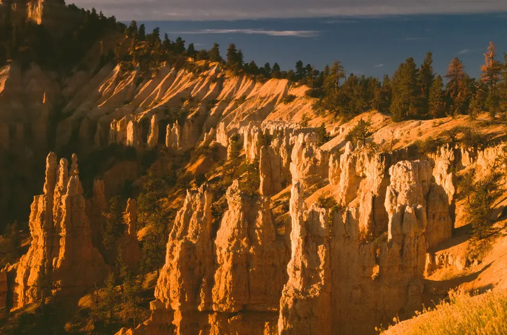 Fairyland Point in Bryce Canyon National Park at sunrise: glowing orange hoodoos and rock fins below a wooded plateau rim