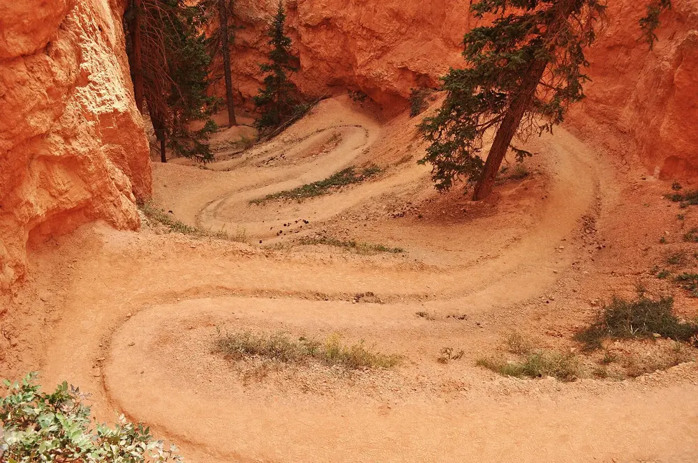The Peekaboo Loop Trail in Bryce Canyon National Park: switchbacks through bright orange rock, lined with scattered pines