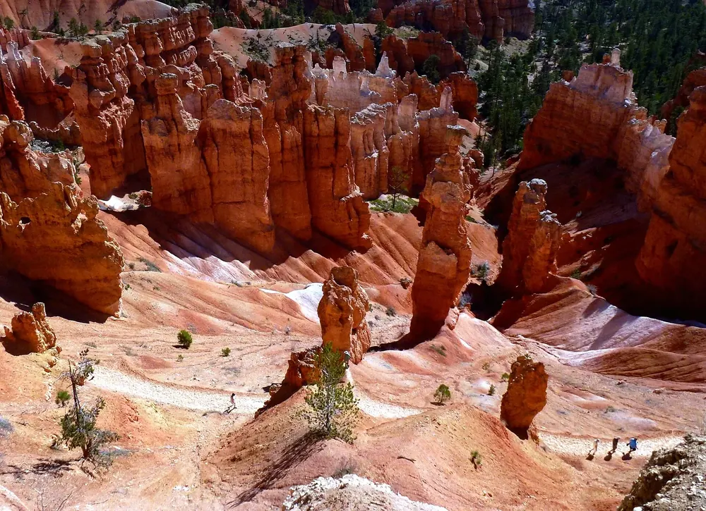 View down from Sunset Point in Bryce Canyon National Park onto red hoodoos, the Navajo Loop switchbacks and pale eroded slopes