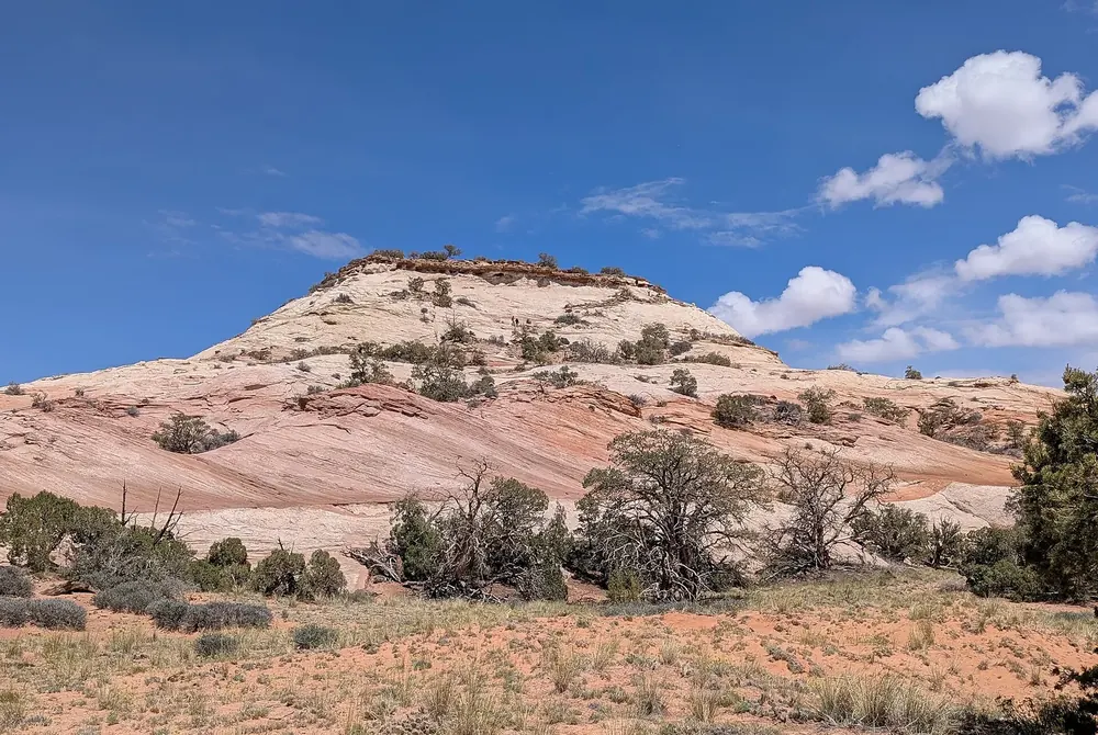 Aztec Butte in Canyonlands National Park: a pale, rounded sandstone hill with junipers, a sandy grassy area in front under a blue sky