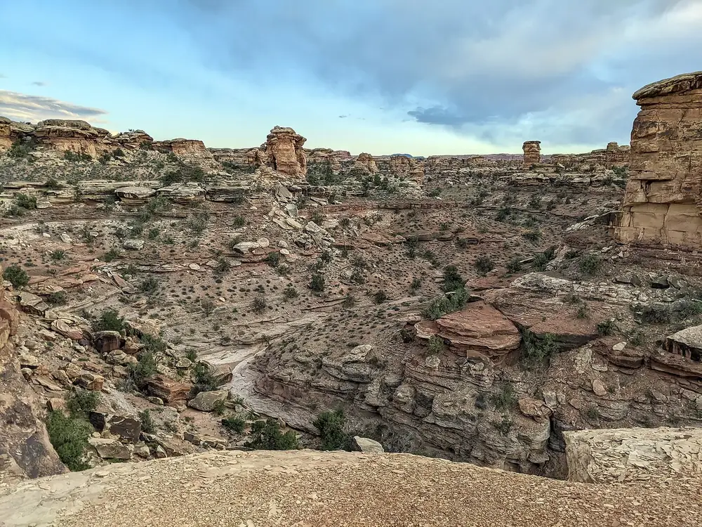 View from Big Spring Canyon Overlook in Canyonlands National Park into a canyon with stepped sandstone rocks, junipers and shrubs