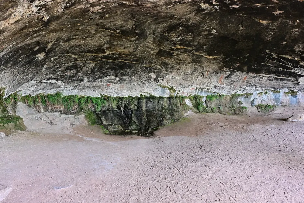 Cave Spring in Canyonlands National Park: a deep rock overhang in the sandstone, with water seeping out at its edge and green plants growing