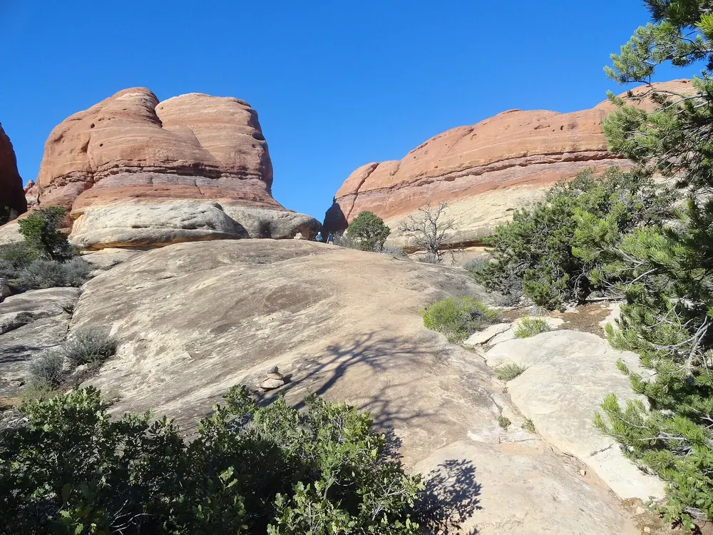 On the trail to Chesler Park in Canyonlands National Park: red and white banded sandstone domes of the Needles, with junipers and pines between them
