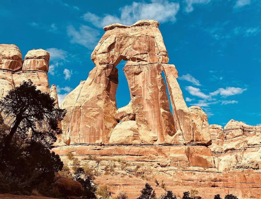 Druid Arch in Canyonlands National Park: a tall, narrow sandstone arch with a vertical window against a deep blue sky, a juniper in front
