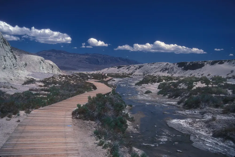 Boardwalk at Salt Creek in Death Valley National Park: a plank path along the shallow, salty stream between shrubs and pale hills