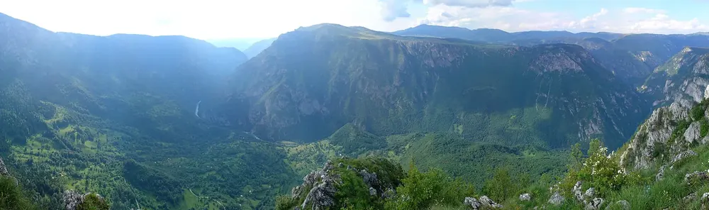 Panorama from the Ćurevac viewpoint over the wooded, deeply cut Tara Canyon and the surrounding ridges