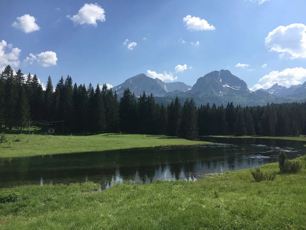 The Otoka flows from the Black Lake through a marshy meadow, conifer forest and the peaks of Durmitor behind