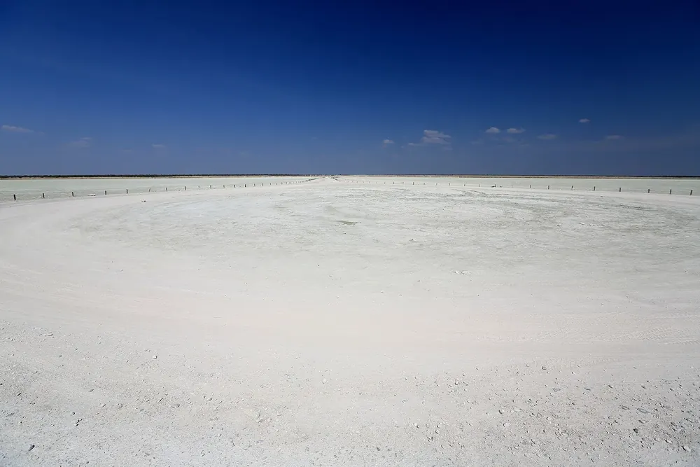 Etosha Lookout in Etosha National Park: dazzling white, completely flat salt pan stretching to the horizon under a deep blue sky.