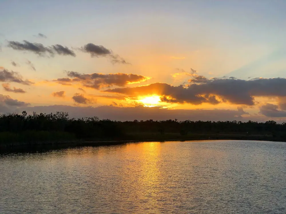 Sunrise over water at the Ernest F. Coe Visitor Center, with dark tree silhouettes behind