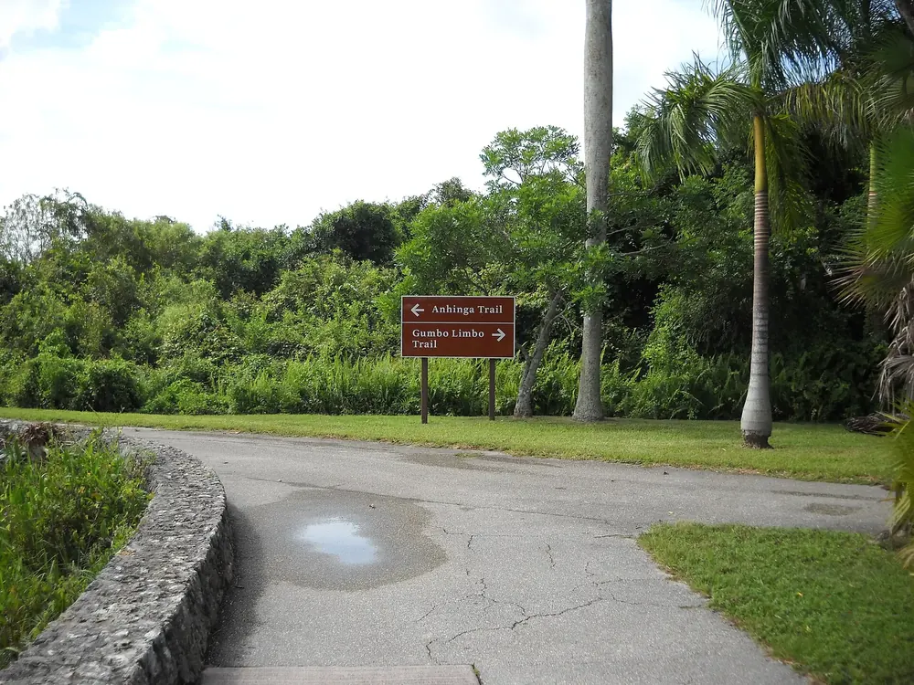 Trail junction at Royal Palm in Everglades National Park: signposts to the Anhinga and Gumbo Limbo trails between palms and dense greenery