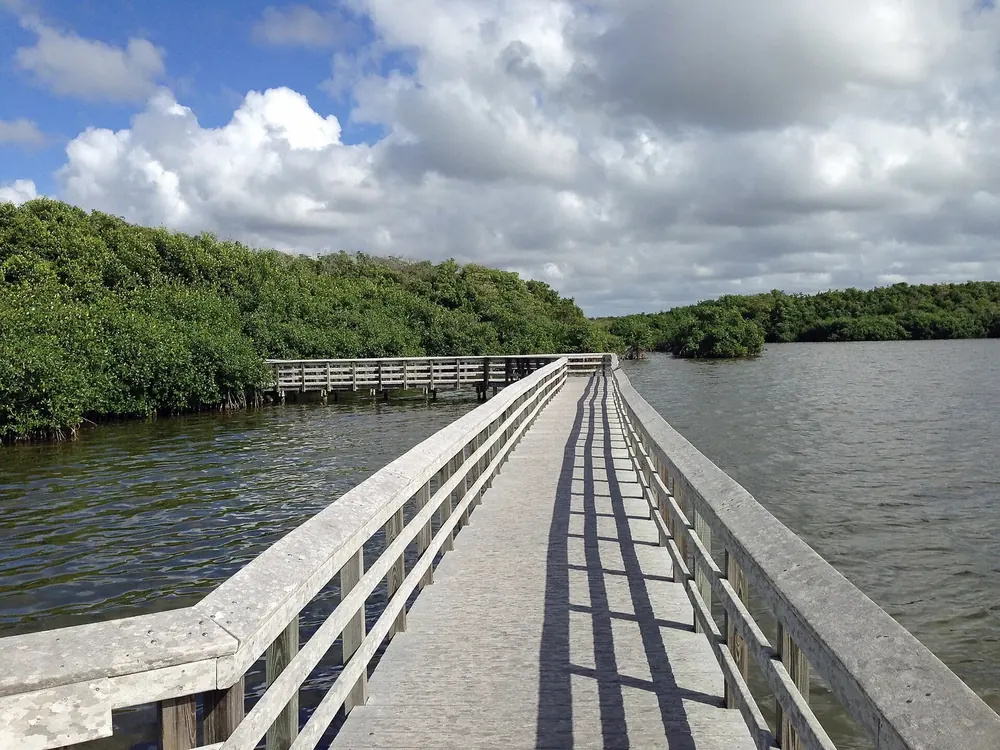 Boardwalk of the West Lake Trail in Everglades National Park over the water of West Lake, lined with dense mangrove forest under clouds