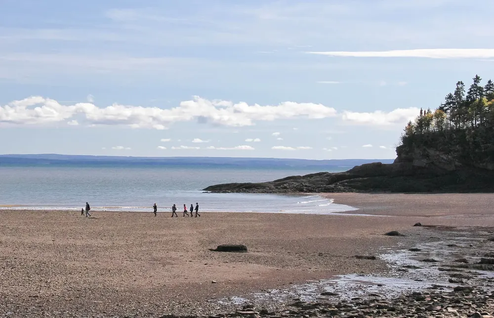 Herring Cove in Fundy National Park at low tide: wide sandy beach with walkers, a forested rocky point by the sea on the right